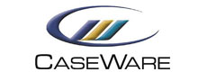 Caseware koppeling