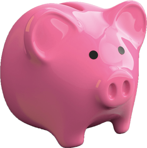 pink-pig Spaarvarken winstadviseur advertentie