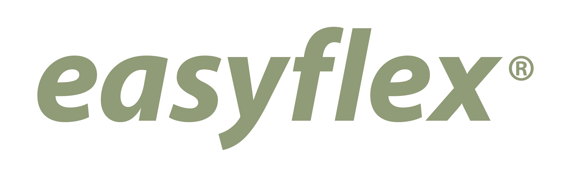 Easyflex logo